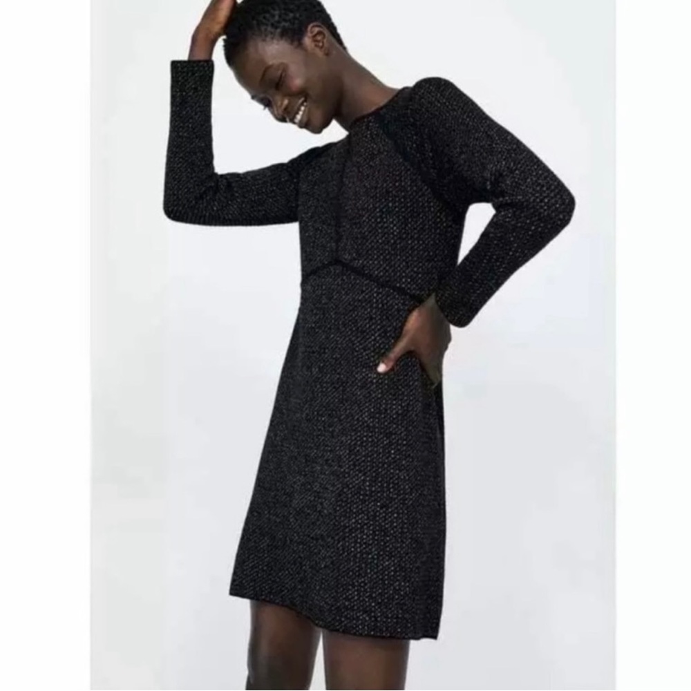 Zara Knit Sparkle Sweater Dress